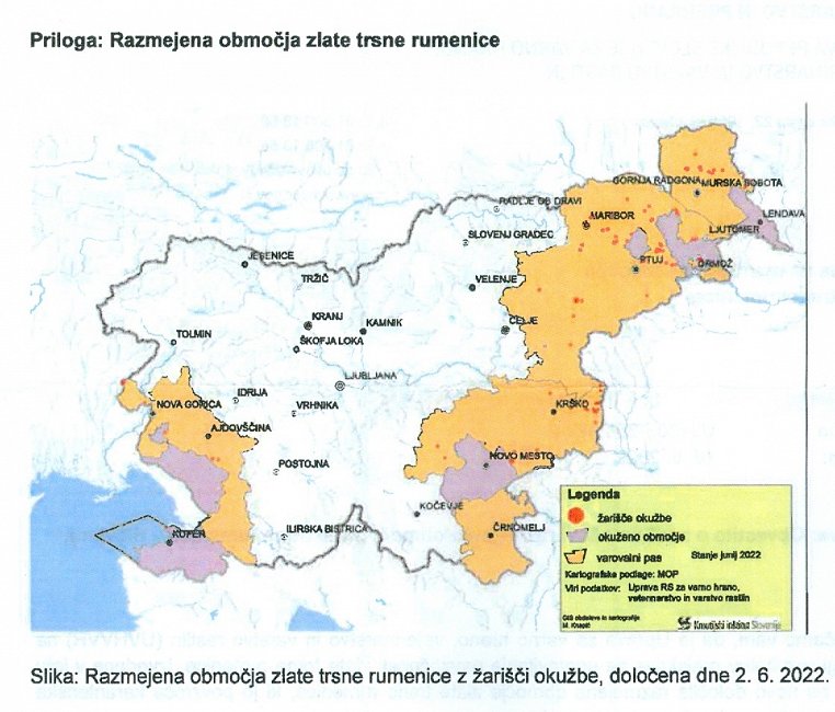 Razmejitvena območja ZTR